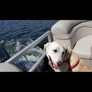 Meet your Posher, Kristin